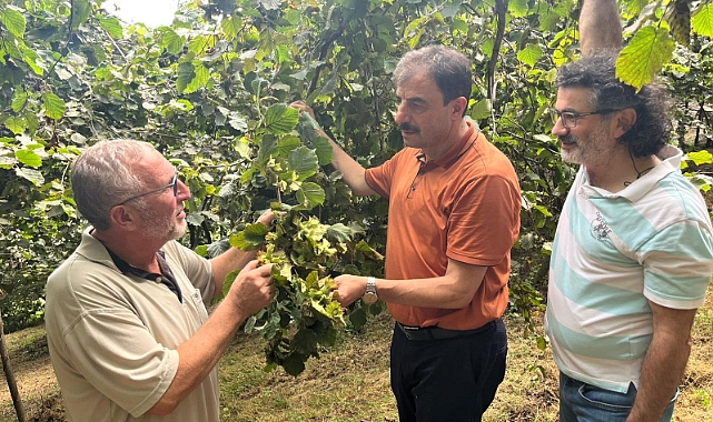 EYÜPOĞLU'NDAN FINDIK ÜRETİCİLERİNE UYARI