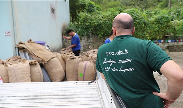 FİSKOBİRLİK 11 AĞUSTOS'TA FINDIK ALIMINA BAŞLAYACAK