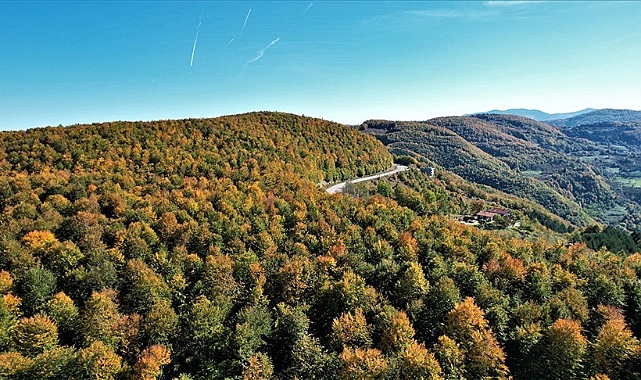 İKLİM DEĞİŞİKLİĞİ KARADENİZ'DE ORMAN YANGINLARINI TETİKLİYOR