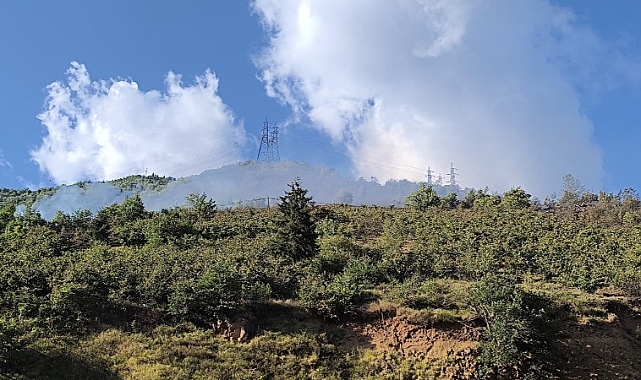 ÖRTÜ YANGINI KONTROL ALTINA ALINDI