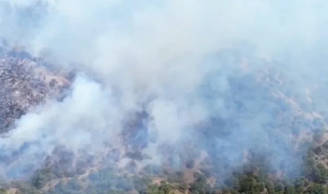 TOKAT'TAKİ ORMAN YANGINI KONTROL ALTINA ALINDI