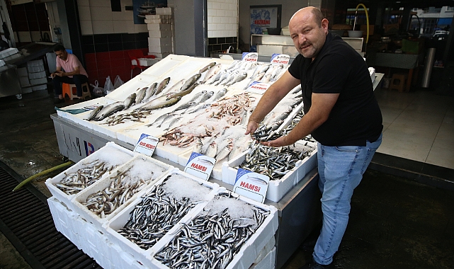 BALIKÇI TEZGAHLARI HAMSİYLE ŞENLENDİ