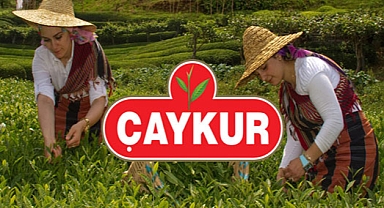 ÇAYKUR'DAN 3. SÜRGÜN ALIMLARINDA YENİ SİSTEM