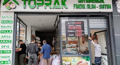 FINDIK FİYATLARI NE KADAR?