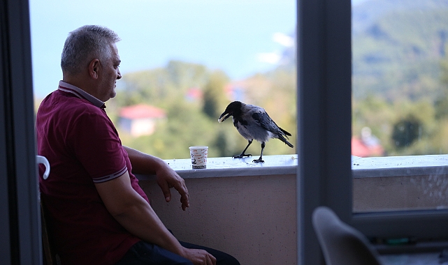 FINDIK İKRAM ETTİĞİ KARGAYLA DOSTLUK KURDU