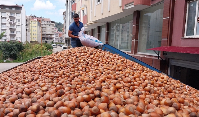 FINDIK TAM 42 MİLYAR DOLAR KAZANDIRDI