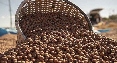 FİSKOBİRLİK REST ÇEKTİ... FİYATLARI YÜKSELTTİ