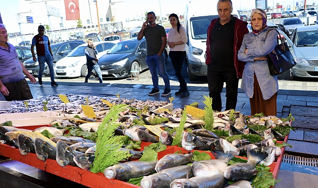 GEL VATANDAŞ GEL... HAMSİ 150 TL