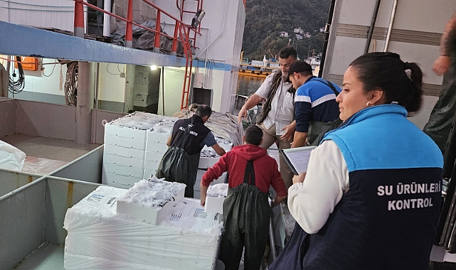 HAMSİ AVCILIĞINA SIKI DENETİM: KURALLARA UYMAYANLARA AĞIR FATURA!