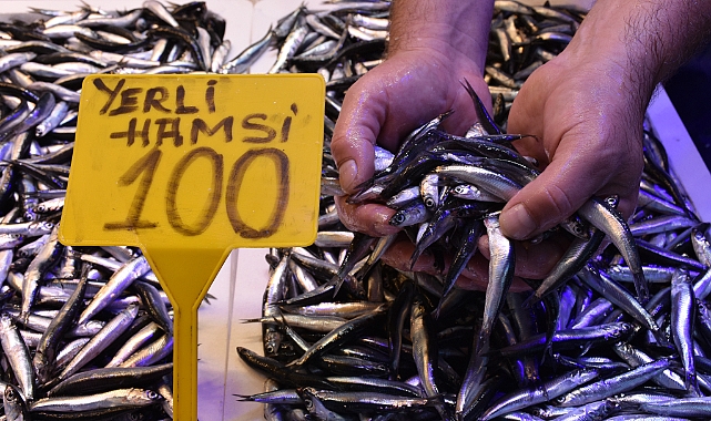 HAMSİ GELDİ,,, TEZGAHLAR ŞENLENDİ... KİLOSU 100 TL!