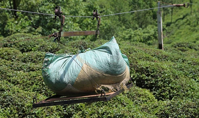 İLKEL TELEFERİK FACİASI: 1 ÖLÜ