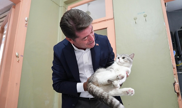 KAYA'DAN SOKAK HAYVANLARINA DESTEK SÖZÜ