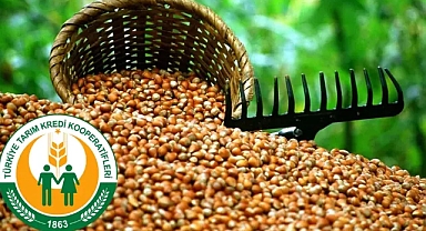 TARIM KREDİ FINDIK ÜRETİCİSİNİN YÜZÜNÜ GÜLDÜRDÜ: YÜKSEK FİYAT! 