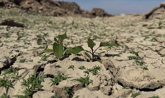 TARIM ÜRÜNLER VE SU KAYNAKLARI TEHDİT ALTINDA!