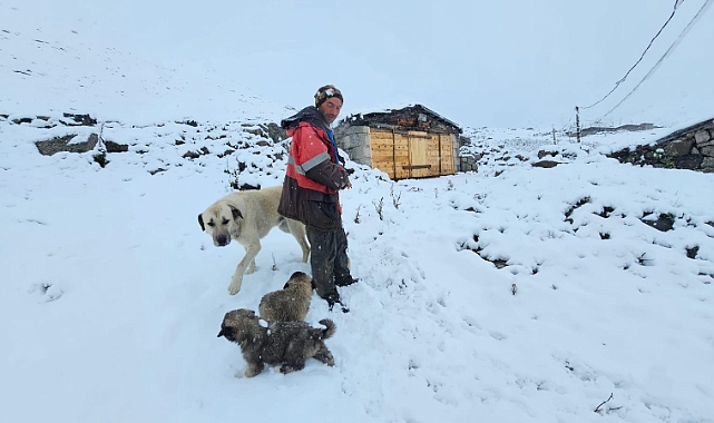 YAYLALAR EYLÜLDE BEYAZA BÜRÜNDÜ