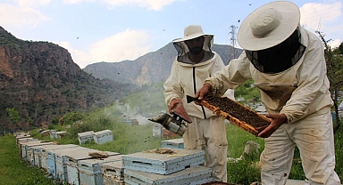 BAL İHRACATI 1.7 MİLYON DOLARI AŞTI