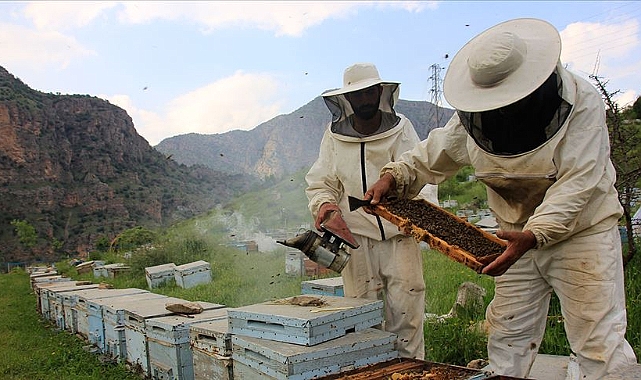 BAL İHRACATI 1.7 MİLYON DOLARI AŞTI