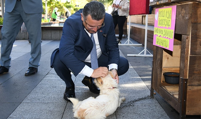 BAŞKAN GENÇ: “SOKAKTA YAŞAYAN HER CANLININ SAHİBİ OLMALI”