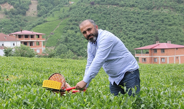 ÇAY SEKTÖRÜ SIKINTIDA!