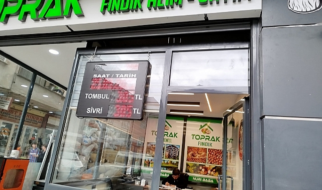 FINDIK FİYATLARINDA SERT DÜŞÜŞ: ÜRETİCİ ŞOKTA!