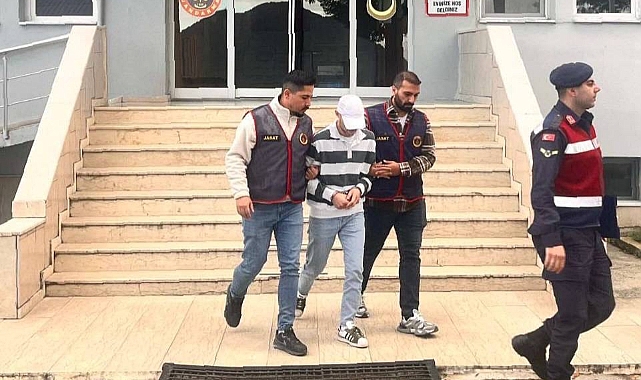 FINDIK HIRSIZI TUTUKLANDI!