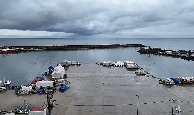 KARADENİZ'İN 3 LİMANINDA METAL KİRLİLİĞİ ALARMI!