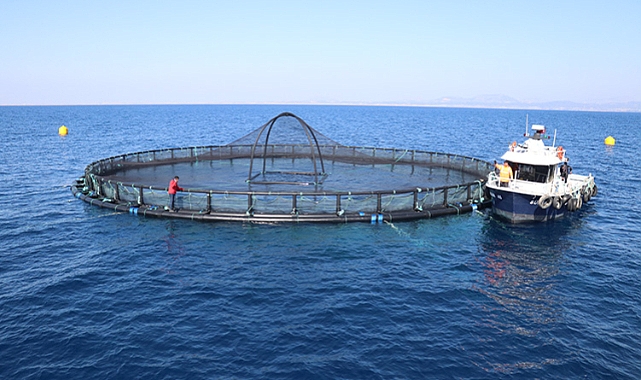 MİLLETVEKİLİ OCAKLI'DAN KAFES BALIKÇILIĞINA TEPKİ