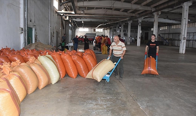 TMO NEDEN FİYAT ARTIRMIYOR?