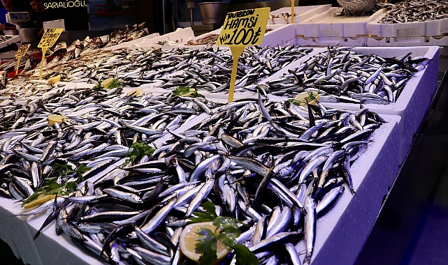 TRABZON'DA HAMSİ 100 LİRADAN SATILDI