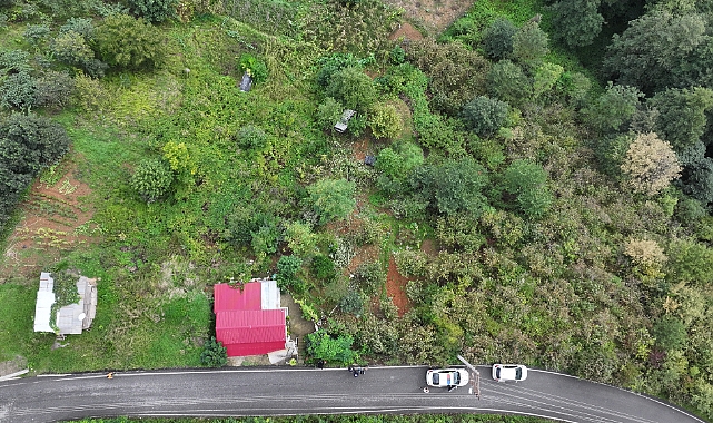 TRABZON'DA OTOMOBİL FINDIK BAHÇESİNE UÇTU: 1 YARALI