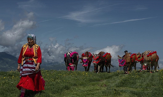 TRABZON'DA YAYLA GÖÇÜ BAŞLADI
