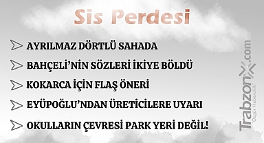 20.11.2025 SİS PERDESİ 