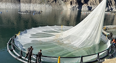 67 ÜLKEYE SOMUN İHRACATI... 4 MİLYAR LİRALIK DEV GELİR