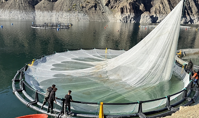 67 ÜLKEYE SOMUN İHRACATI... 4 MİLYAR LİRALIK DEV GELİR