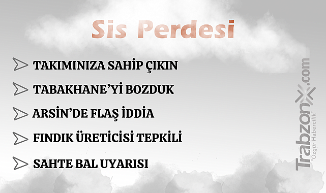 8.11.2025 SİS PERDESİ 