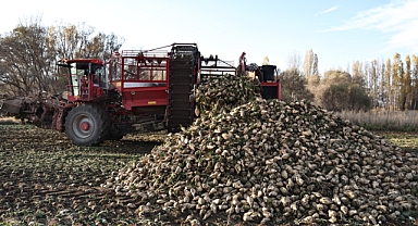 BÖLGEMİZDE ŞEKER PANCARI ÜRETİMİ 6 KAT ARTTI 