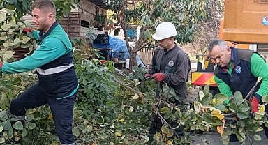 BÜYÜKŞEHİR'DEN SONBAHAR TEMİZLİĞİ