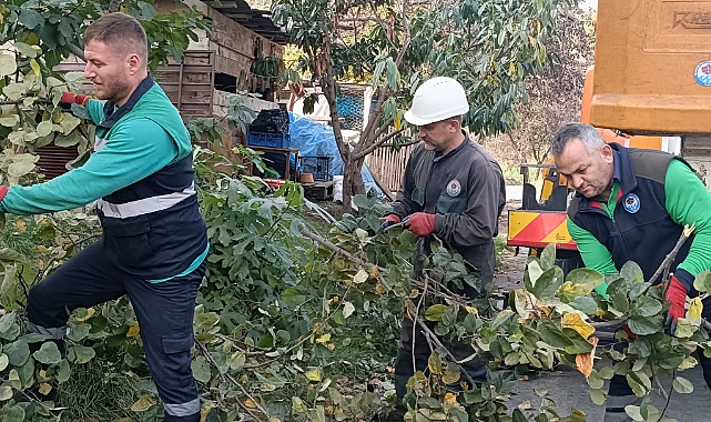 BÜYÜKŞEHİR'DEN SONBAHAR TEMİZLİĞİ