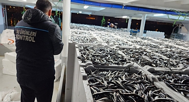 KARADENİZ'DE HAMSİ BEREKETİ 