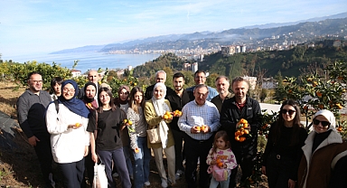 RİZE'DE MANDALİNA ŞENLİĞİ