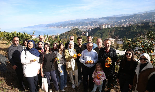 RİZE'DE MANDALİNA ŞENLİĞİ