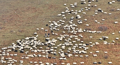SAVERİKSA YAYLASINDA BESİCİLER MESAİDE 