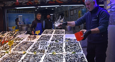 TRABZON'DA HAMSİ BEREKETİ: FİYATI 50 TL 