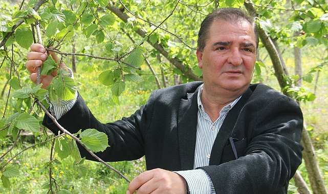 TRABZON'DAN 500 MİLYON DOLARLIK FINDIK İHRACATI