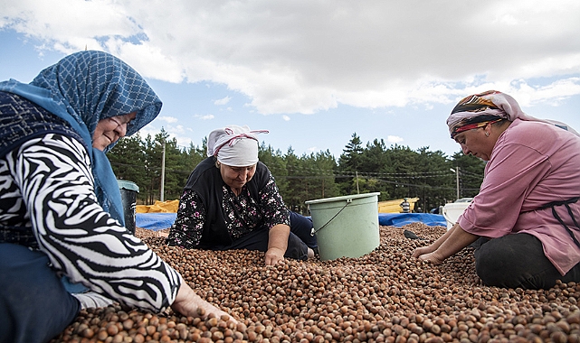 ÜRETİCİNİN ALIN TERİNİ KİMSE SÖMÜREMEZ!!