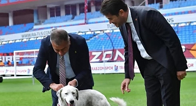 'ZİBİDİ' SÜRGÜN EDİLDİ... VATANDAŞLAR TEPKİLİ! 