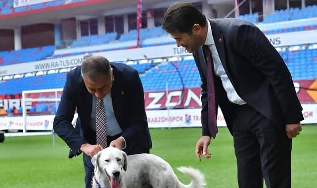 'ZİBİDİ' SÜRGÜN EDİLDİ... VATANDAŞLAR TEPKİLİ!