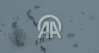 ARTVİN'DE ÇIĞ FACİASI: 3 ÇOBAN KAYIP 