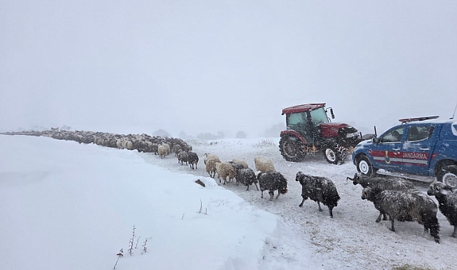 ARTVİN'DE ÇIĞ FACİASI: 3 ÇOBAN KAYIP