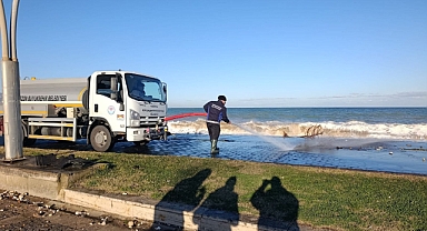 BÜYÜKŞEHİR'DEN AYASOFYA SAHİLİNE HIZLI MÜDAHALE